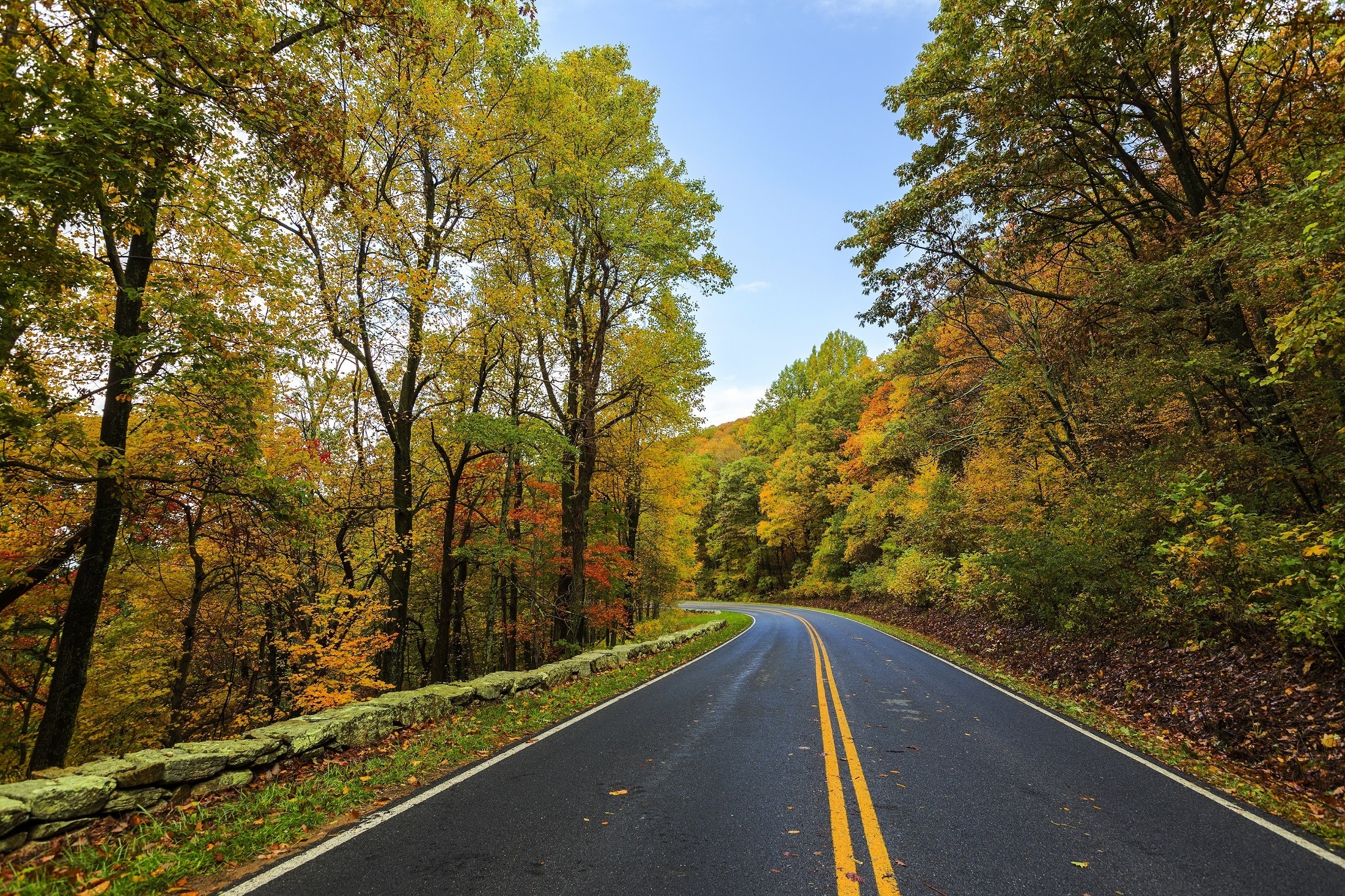 asphalt-autumn-beauty-237018.jpg